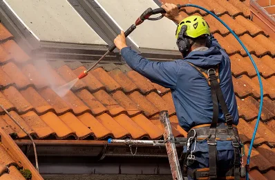 Démoussage et hydrofuge de toiture à Arçais